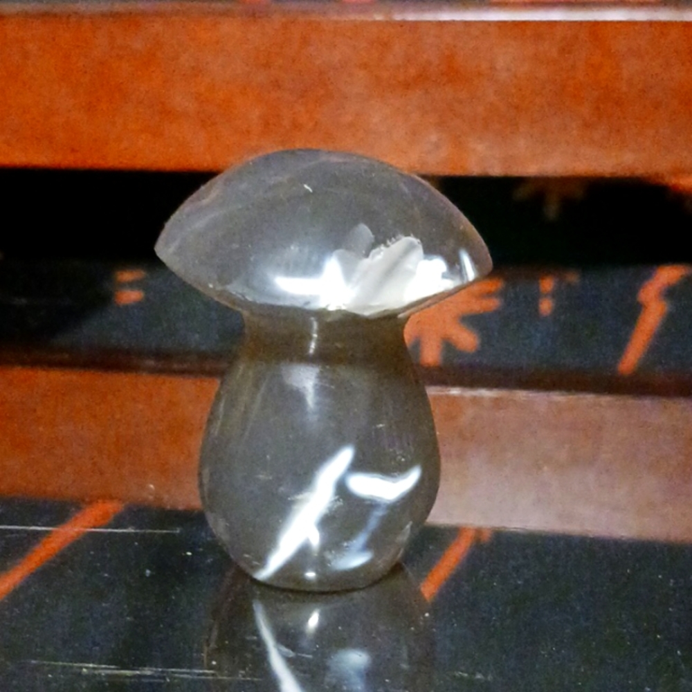 Orca Agate Mushroom